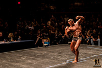 2018 IFBB Pro Finals