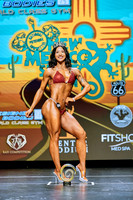 New  Mexico State Open
