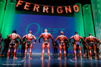 Pro Men's Bodybuilding, Comparison