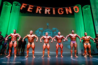 Pro Men's Bodybuilding, Comparison
