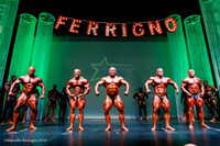 Pro Men's Bodybuilding, Comparison