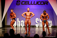 NOVICE OVERALL Awards