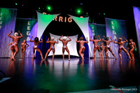 Pro Women's Physique Comparison