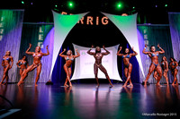 Pro Women's Physique Comparison