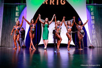 Pro Women's Physique Comparison