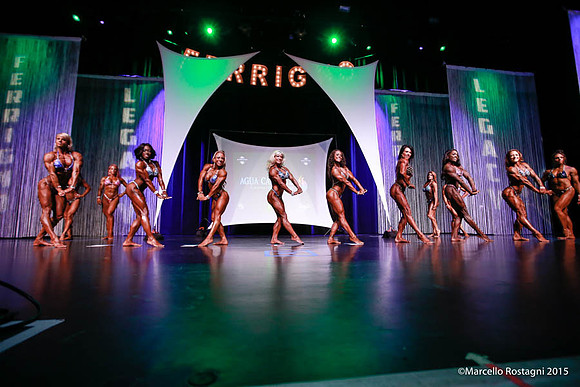 Pro Women's Physique Comparison