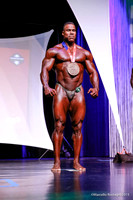 Pro Men's Bodybuilding Comparison