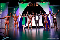 Pro Men's Bodybuilding Comparison