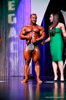 Pro Men's Bodybuilding Comparison
