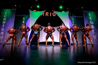 Pro Men's Bodybuilding Comparison