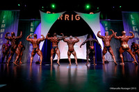 Pro Men's Bodybuilding Comparison