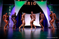 Pro Men's Bodybuilding Comparison
