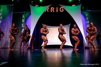 Pro Men's Bodybuilding Comparison