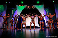 Pro Men's Bodybuilding Comparison