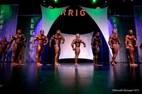 Pro Men's Bodybuilding Comparison