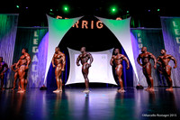 Pro Men's Bodybuilding Comparison