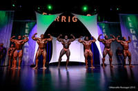 Pro Men's Bodybuilding Comparison