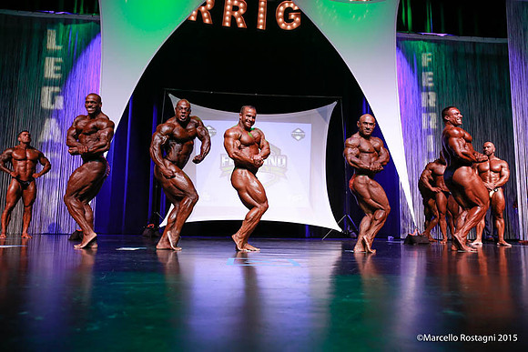 Pro Men's Bodybuilding Comparison