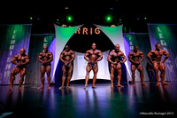 Pro Men's Bodybuilding Comparison