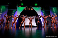 Pro Men's Bodybuilding Comparison