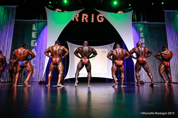 Pro Men's Bodybuilding Comparison