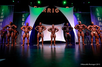 Pro Men's Bodybuilding Comparison