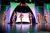 Novice Bodybuilding LIght Weight Comparison
