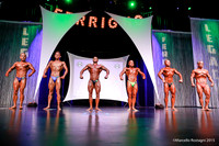 Novice Bodybuilding LIght Weight Comparison