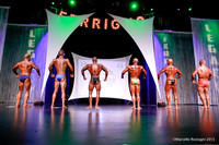 Novice Bodybuilding LIght Weight Comparison