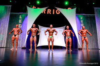 Masters Bodybuilding 40+ Comparison