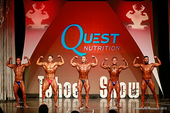 NOVICE MIDDLEWEIGHT Awards