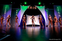 Unlimited Bikini D Comparison