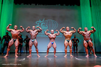 Pro Men's Bodybuilding Comparison