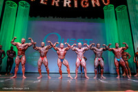 Pro Men's Bodybuilding Comparison