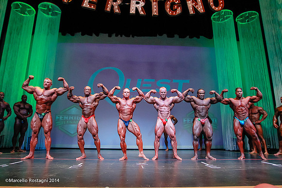 Pro Men's Bodybuilding Comparison
