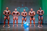Pro Men's Bodybuilding Comparison