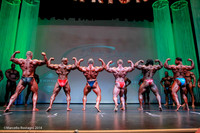 Pro Men's Bodybuilding Comparison