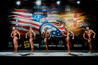 Open Middleweight/Lightweight