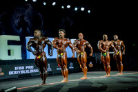 IFBB Pro Bodybuilding