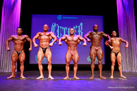 Unlimited Bodybuilding Overall