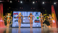 Figure Masters' 45+