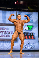 Open Bodybuilding Heavyweight