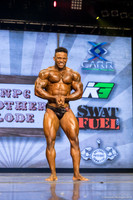 Open Bodybuilding Light Heavyweight