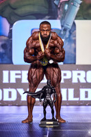Men's Bodybuilding