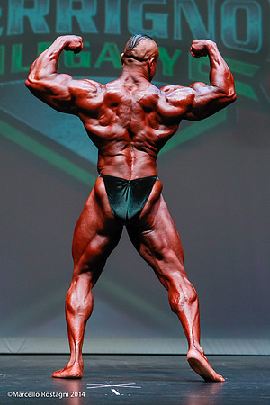 8 Will Harris
