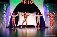 Unlimited Physique C Comparison