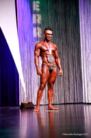 Unlimited Bodybuilding Middle Weight Comparison