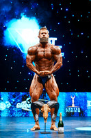 Mens Bodybuilding